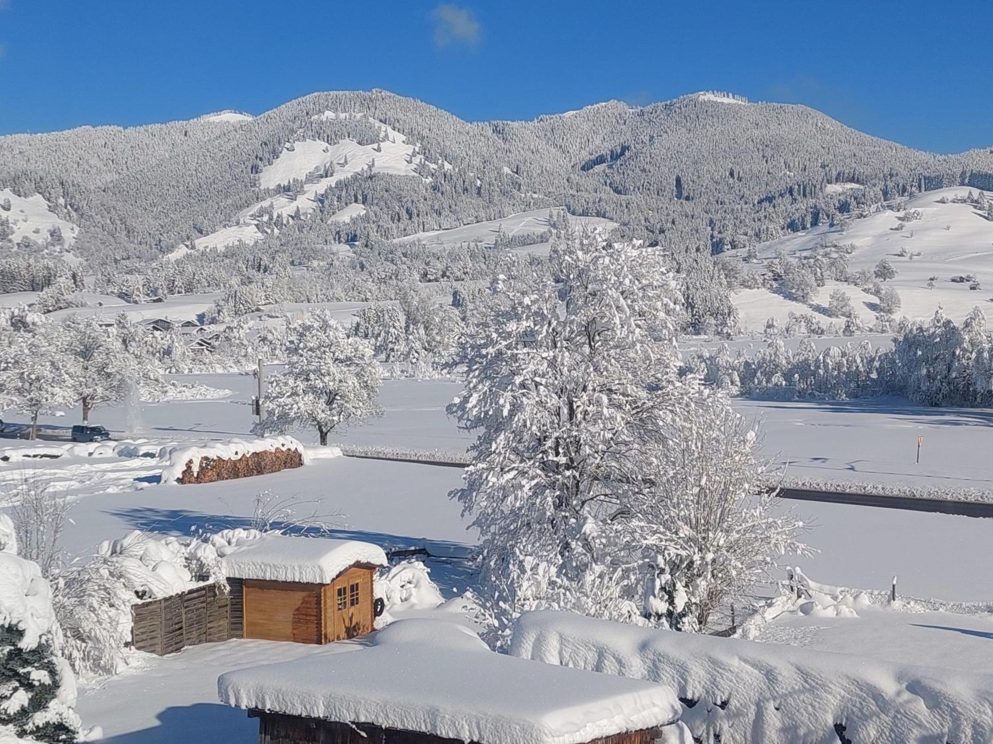 Apartment Traumblick Unterammergau Dış mekan fotoğraf